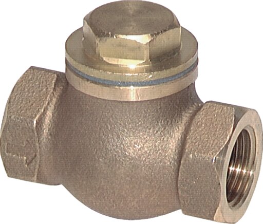 Exemplary representation: Check valve